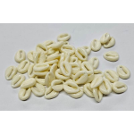 Applicazioni a conchiglia in resina bianca - Conf. da 5